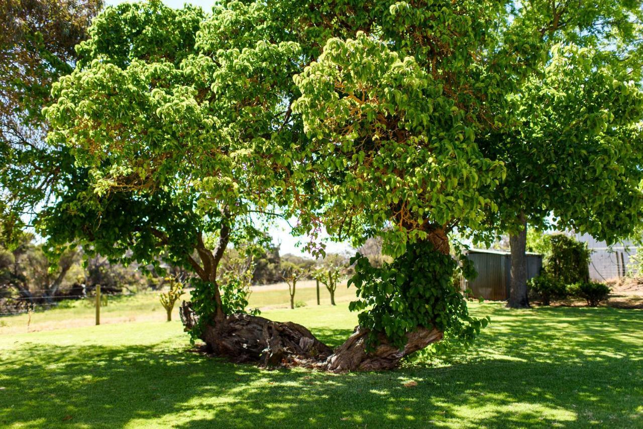 Fairlawn Estate Guest House Busselton Exterior foto