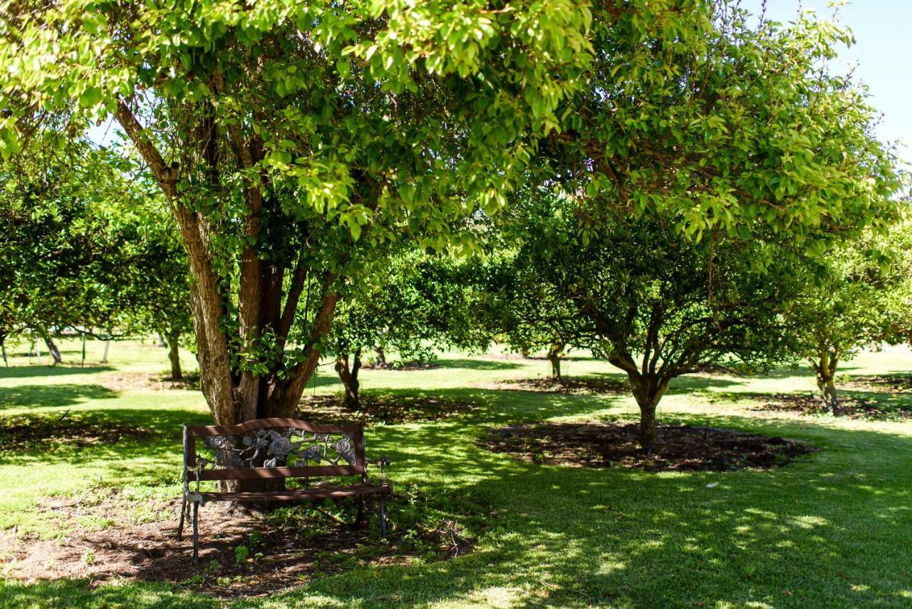 Fairlawn Estate Guest House Busselton Exterior foto