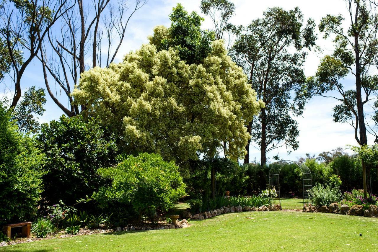 Fairlawn Estate Guest House Busselton Exterior foto