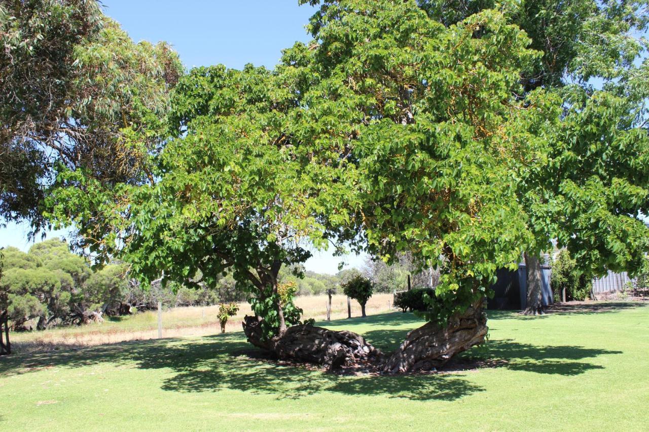 Fairlawn Estate Guest House Busselton Exterior foto